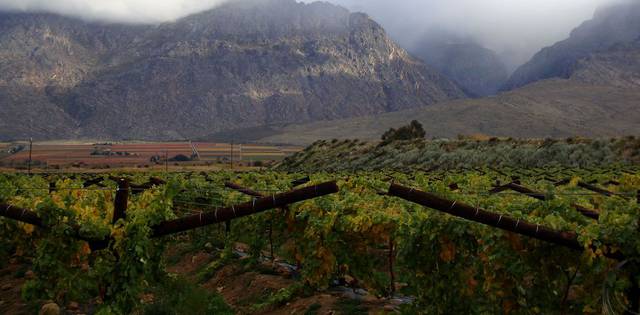 Дорога садов (garden route) в юар