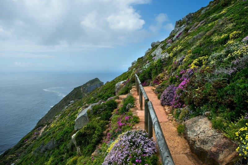 Дорога садов (garden route) в юар