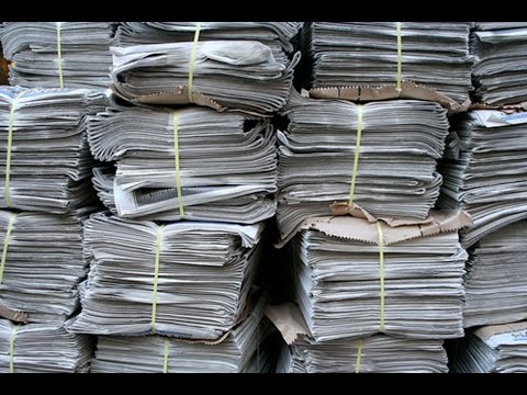 Бизнес по сбору макулатуры: рентабельность до 50%