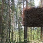 Домик на дереве для детей и взрослых