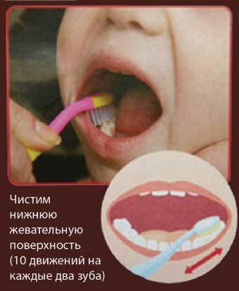 Когда начинать чистить зубы ребенку?
