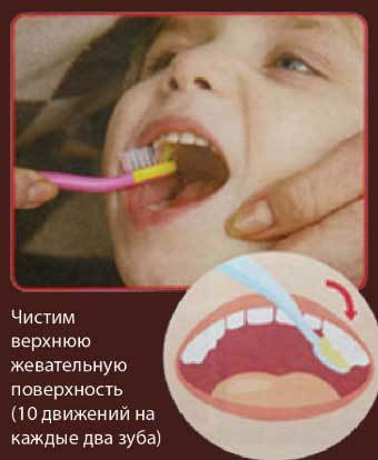 Когда начинать чистить зубы ребенку?