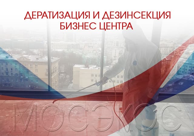 Свой бизнес: дезинсекция,  дератизация,  дезинфекция