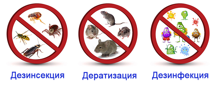 Свой бизнес: дезинсекция,  дератизация,  дезинфекция
