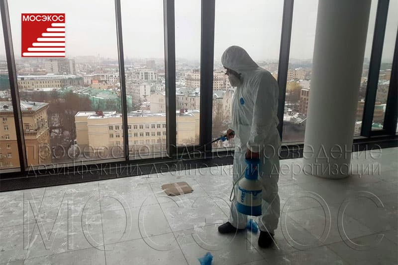 Свой бизнес: дезинсекция,  дератизация,  дезинфекция