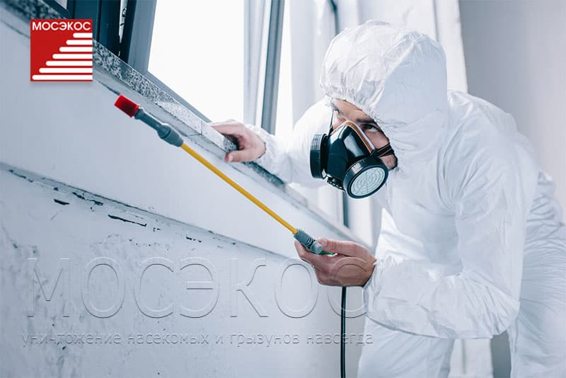 Свой бизнес: дезинсекция,  дератизация,  дезинфекция