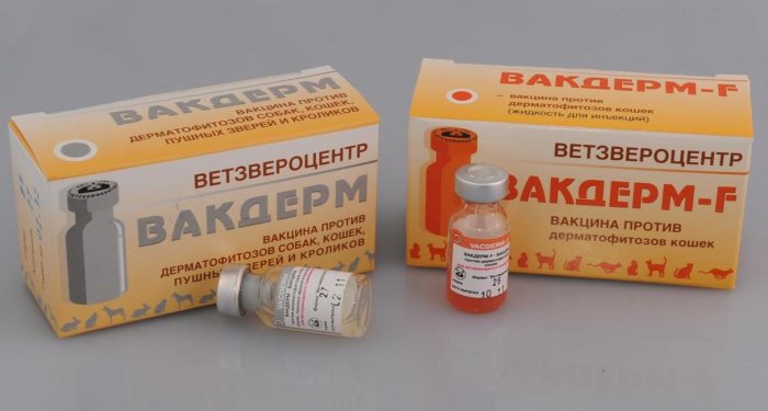 Вакдерм для собак: состав, форма выпуска, назначение, дозировка, противопоказания, аналоги